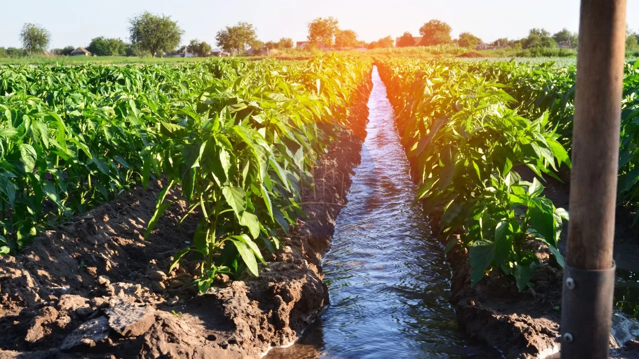 Types of Irrigation methods