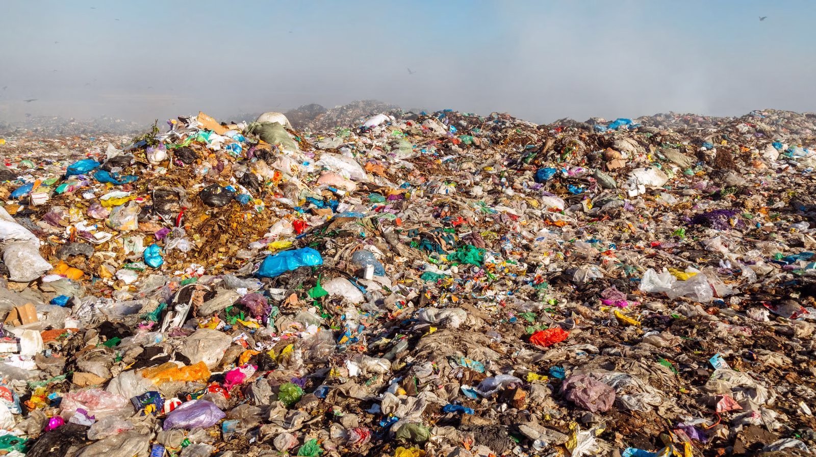 How a Landfill Works? Understanding Process, Operation, Life cycle